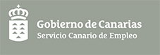 logo canarias footer